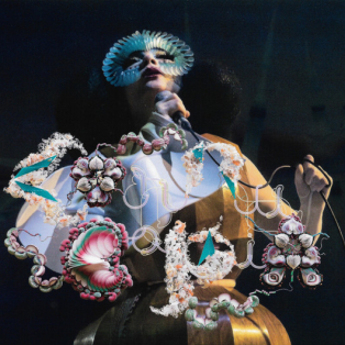 Björk – Cornucopia Live