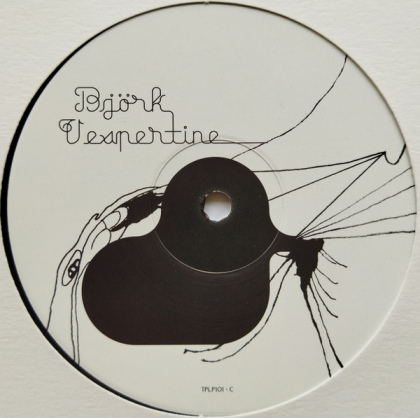 Björk – Vespertine - фото 7 Björk – Vespertine - фото 7