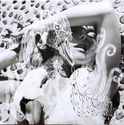 Björk – Vespertine - фото 1 Björk – Vespertine - фото 1