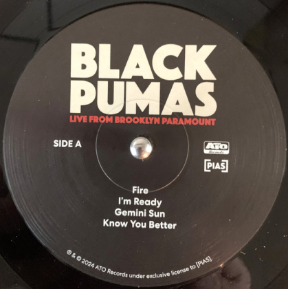 Black Pumas – Live From Brooklyn Paramount - фото 4 Black Pumas – Live From Brooklyn Paramount - фото 4