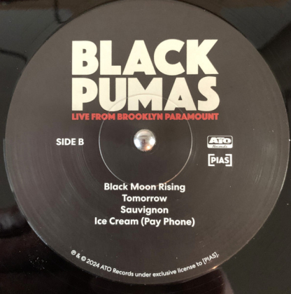 Black Pumas – Live From Brooklyn Paramount - фото 5 Black Pumas – Live From Brooklyn Paramount - фото 5