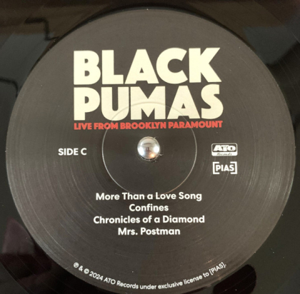 Black Pumas – Live From Brooklyn Paramount - фото 6 Black Pumas – Live From Brooklyn Paramount - фото 6