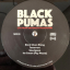 Black Pumas – Live From Brooklyn Paramount - фото 5 Black Pumas – Live From Brooklyn Paramount - фото 5