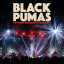 Black Pumas – Live From Brooklyn Paramount - фото 1 Black Pumas – Live From Brooklyn Paramount - фото 1