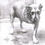 Alice In Chains – Alice In Chains - фото 1 Alice In Chains – Alice In Chains - фото 1