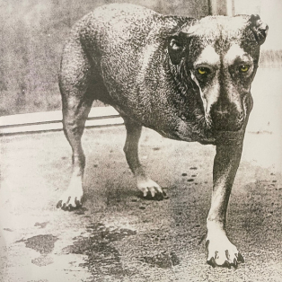 Alice In Chains – Alice In Chains Alice In Chains – Alice In Chains
