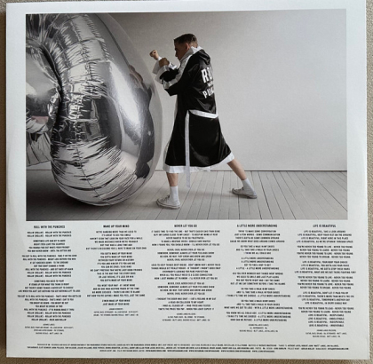 Bryan Adams – Roll With The Punches - фото 5 Bryan Adams – Roll With The Punches - фото 5
