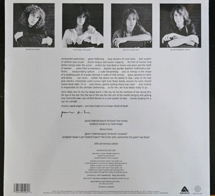 Patti Smith &ndash; Horses - фото 2