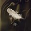 Scorpions &ndash; Born To Touch Your Feelings - Best Of Rock Ballads - фото 3