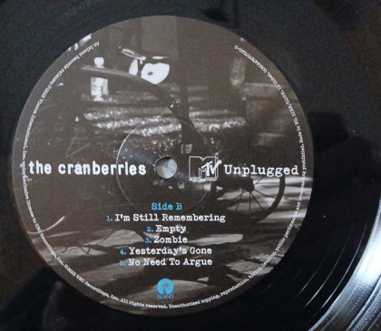 The Cranberries – MTV Unplugged - фото 7 The Cranberries – MTV Unplugged - фото 7
