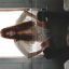 Florence + The Machine – Everybody Scream - фото 4 Florence + The Machine – Everybody Scream - фото 4