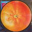 Glass Animals – Dreamland - фото 4 Glass Animals – Dreamland - фото 4