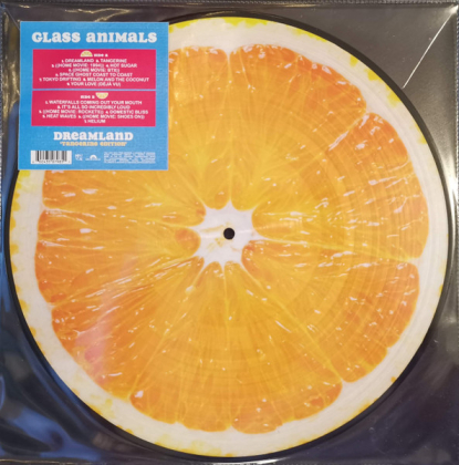 Glass Animals – Dreamland - фото 1 Glass Animals – Dreamland - фото 1
