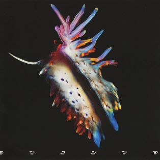 Sub Focus – Evolve