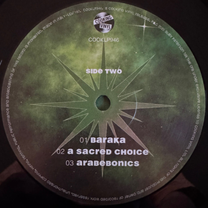 The Orb &ndash; Buddhist Hipsters - фото 6