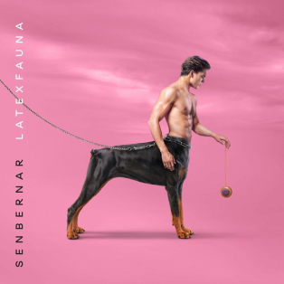 Latexfauna – Senbernar Latexfauna – Senbernar