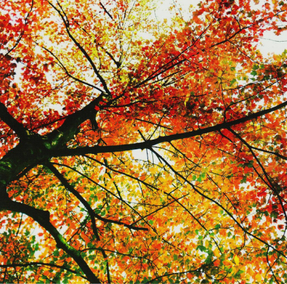 Ludovico Einaudi &ndash; In A Time Lapse - фото 4