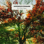 Ludovico Einaudi &ndash; In A Time Lapse - фото 1