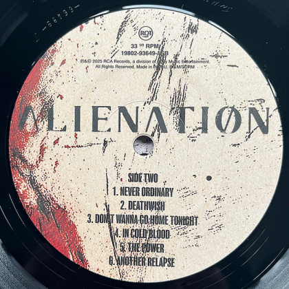 Three Days Grace &ndash; Alienation - фото 7