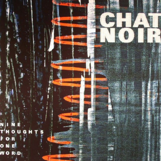 Chat Noir – Nine Thoughts For One Word