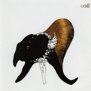 Coil – Black Antlers Coil – Black Antlers