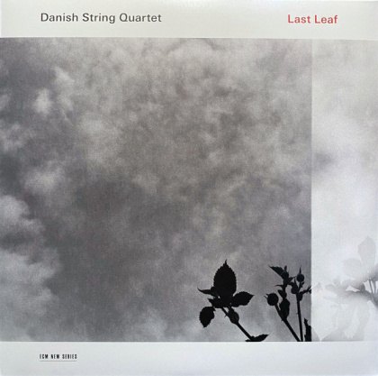 Danish String Quartet – Last Leaf - фото 1 Danish String Quartet – Last Leaf - фото 1