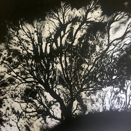 Dead Can Dance – The Serpent's Egg - фото 3 Dead Can Dance – The Serpent's Egg - фото 3