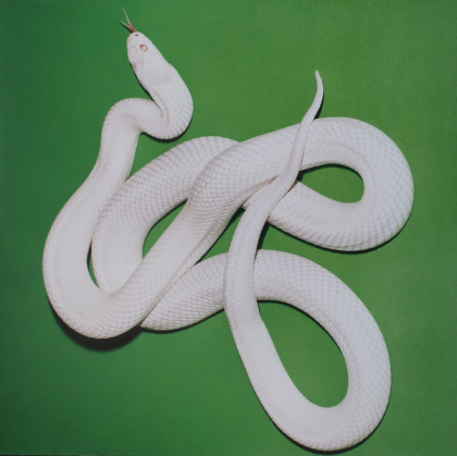 Deftones – Private Music - фото 4 Deftones – Private Music - фото 4