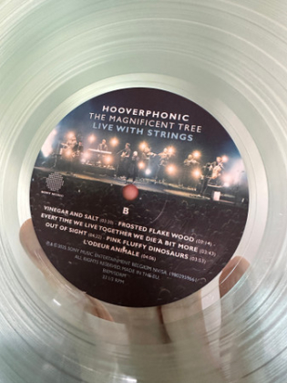 Hooverphonic – The Magnificent Tree - Live With Strings - фото 6 Hooverphonic – The Magnificent Tree - Live With Strings - фото 6