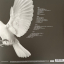 Melody Gardot – The Essential - фото 2 Melody Gardot – The Essential - фото 2