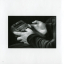 Stephan Micus – White Night - фото 6 Stephan Micus – White Night - фото 6