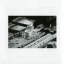 Stephan Micus – White Night - фото 7 Stephan Micus – White Night - фото 7
