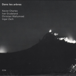 Xavier Charles / Ivar Grydeland / Christian Wallumrød / Ingar Zach : Dans Les Arbres – Dans Les Arbres Xavier Charles / Ivar Grydeland / Christian Wallumrød / Ingar Zach : Dans Les Arbres – Dans Les Arbres