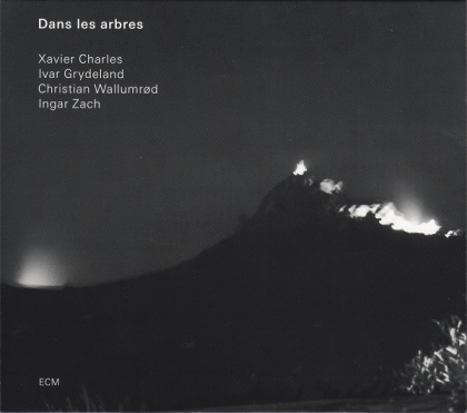 Xavier Charles / Ivar Grydeland / Christian Wallumr&oslash;d / Ingar Zach : Dans Les Arbres &ndash; Dans Les Arbres - фото 1