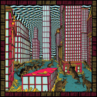 King Gizzard & The Lizard Wizard – Live In Adelaide '19