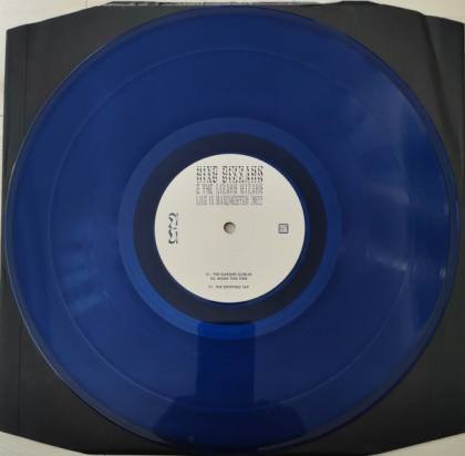 King Gizzard And The Lizard Wizard &ndash; Live In Manchester USA - фото 5