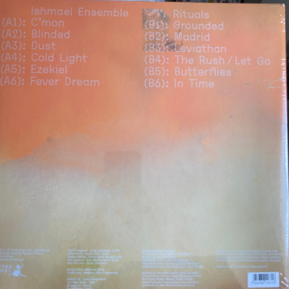 Ishmael Ensemble &ndash; Rituals - фото 2