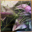 Lapsley &ndash; These Elements - фото 2