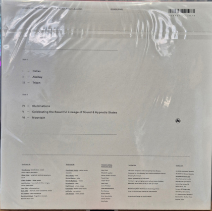 Ancient Infinity Orchestra – It's Always About Liberation - фото 2 Ancient Infinity Orchestra – It's Always About Liberation - фото 2
