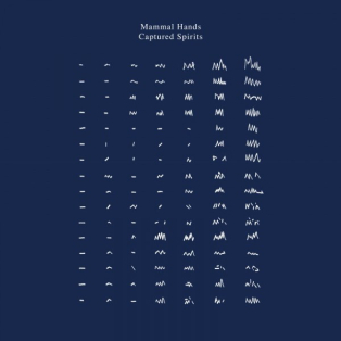Mammal Hands – Captured Spirits Mammal Hands – Captured Spirits